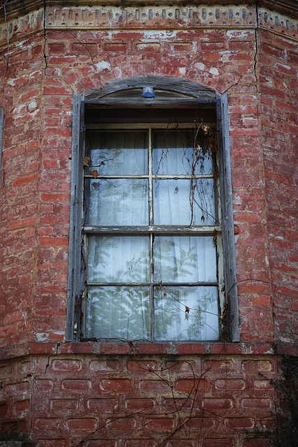 Window with curtain closed